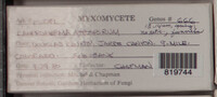 Image Associated With the Occurence